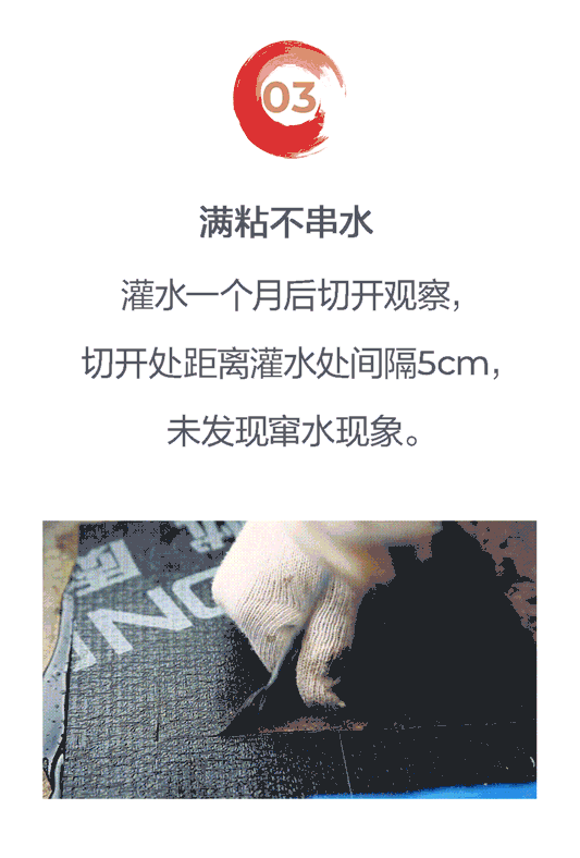 1653983864(1).jpg