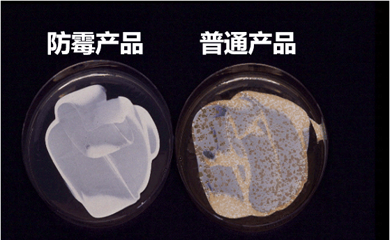 微信囄_20220620142218.png