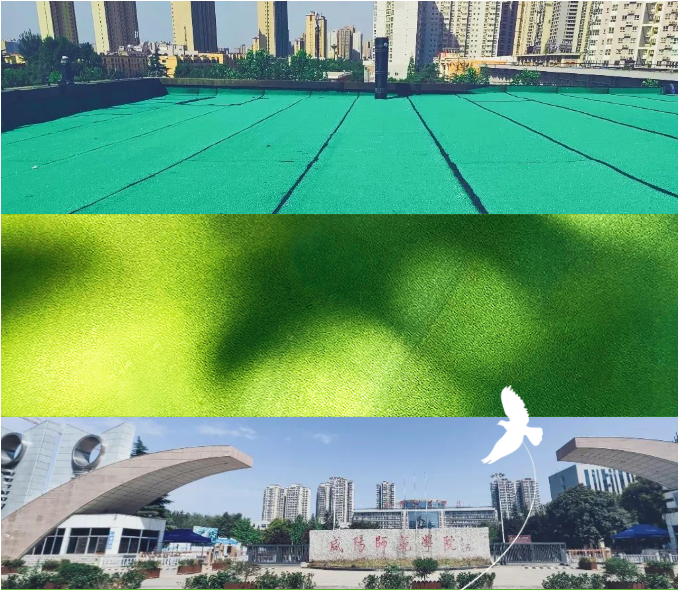 寰俊鎴🍹浘_20230824113541.png