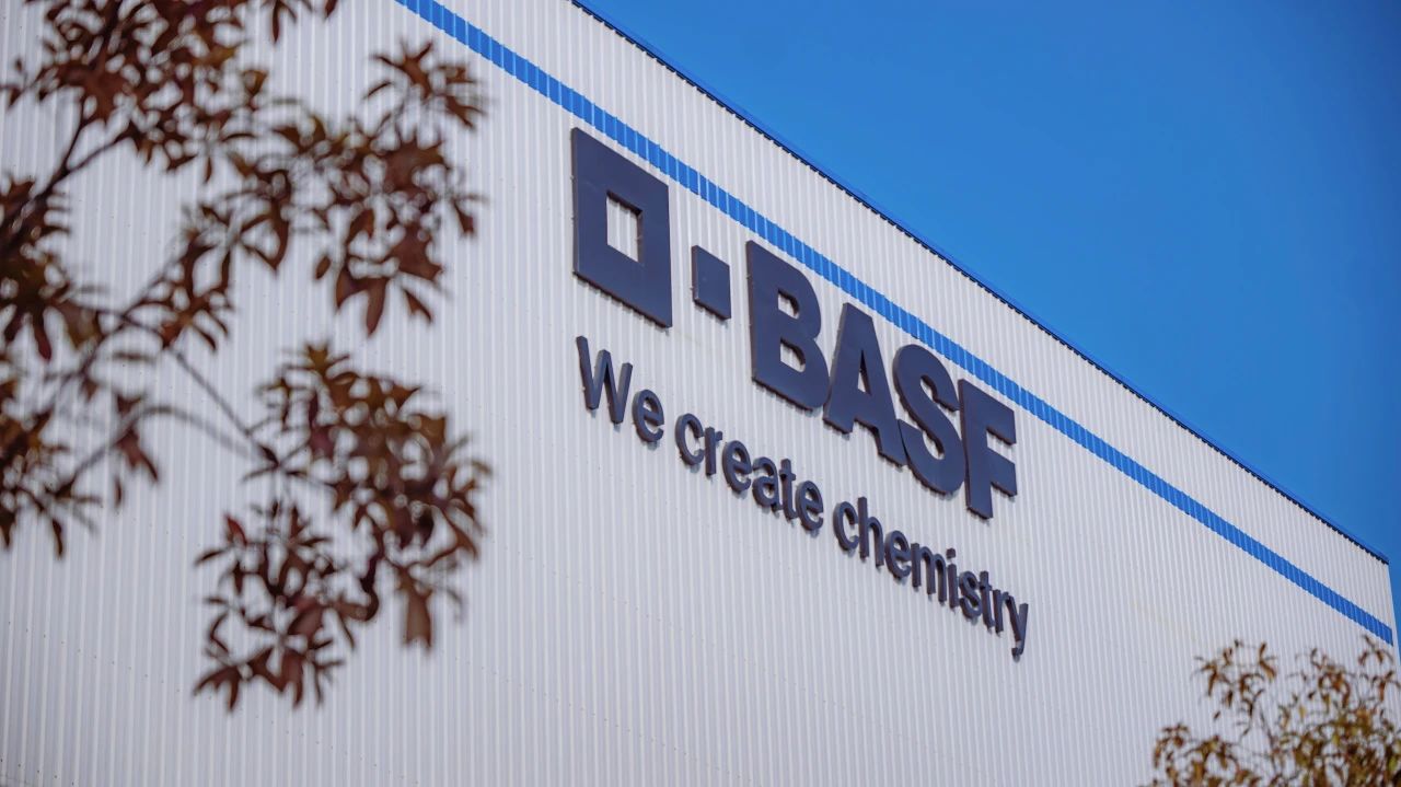 basf3.jpg