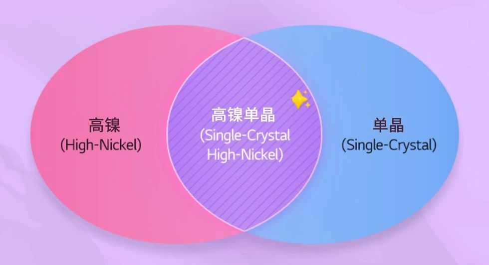 寰俊鍥剧墖_20240307093920.jpg