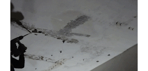 序列 01.gif