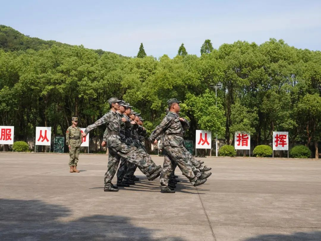 鍥剧墖9.png