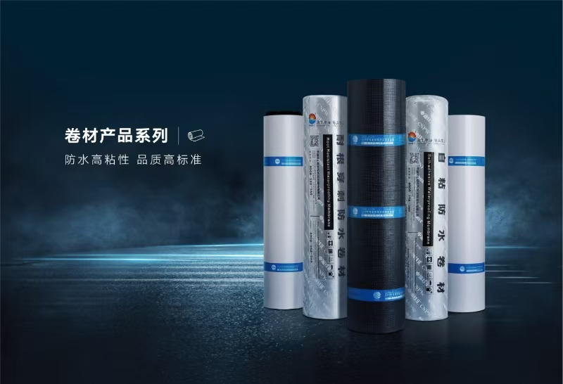 寰俊鍥劇墖_20240913195241.jpg