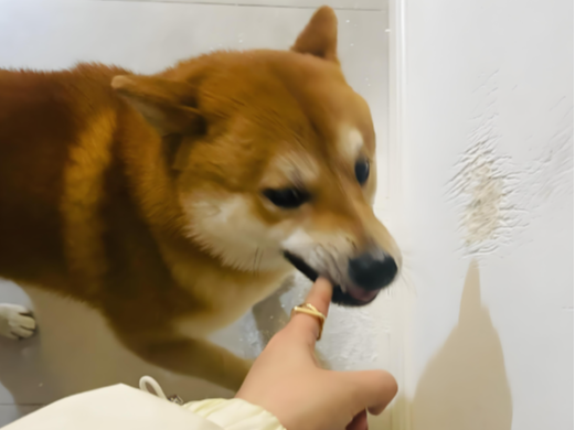 鍥劇墖3.png