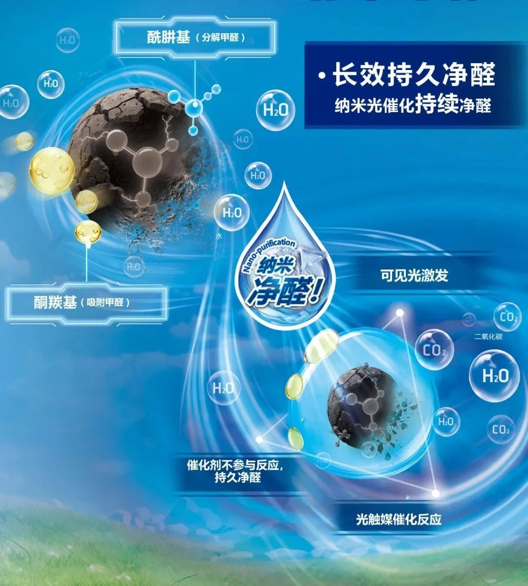 鍥剧墖13.png
