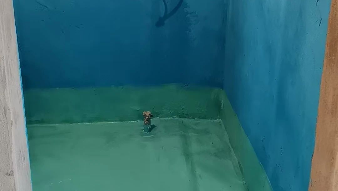 鍥剧墖13.png