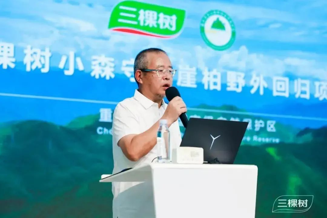 寰俊鍥劇墖_20250717150512.jpg