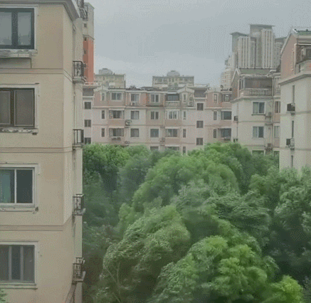 鍥剧墖19.png