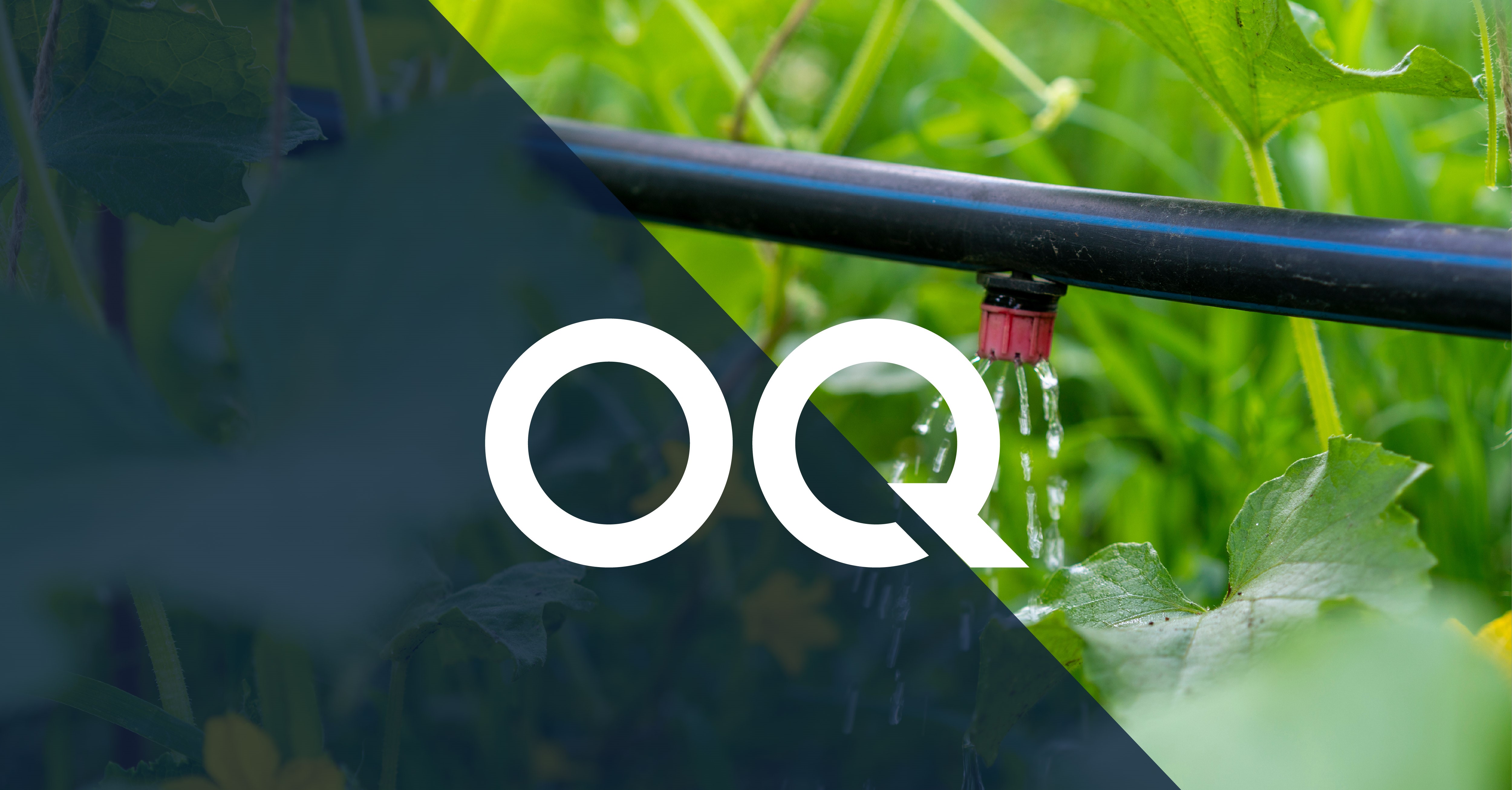 OQPR038a.jpg