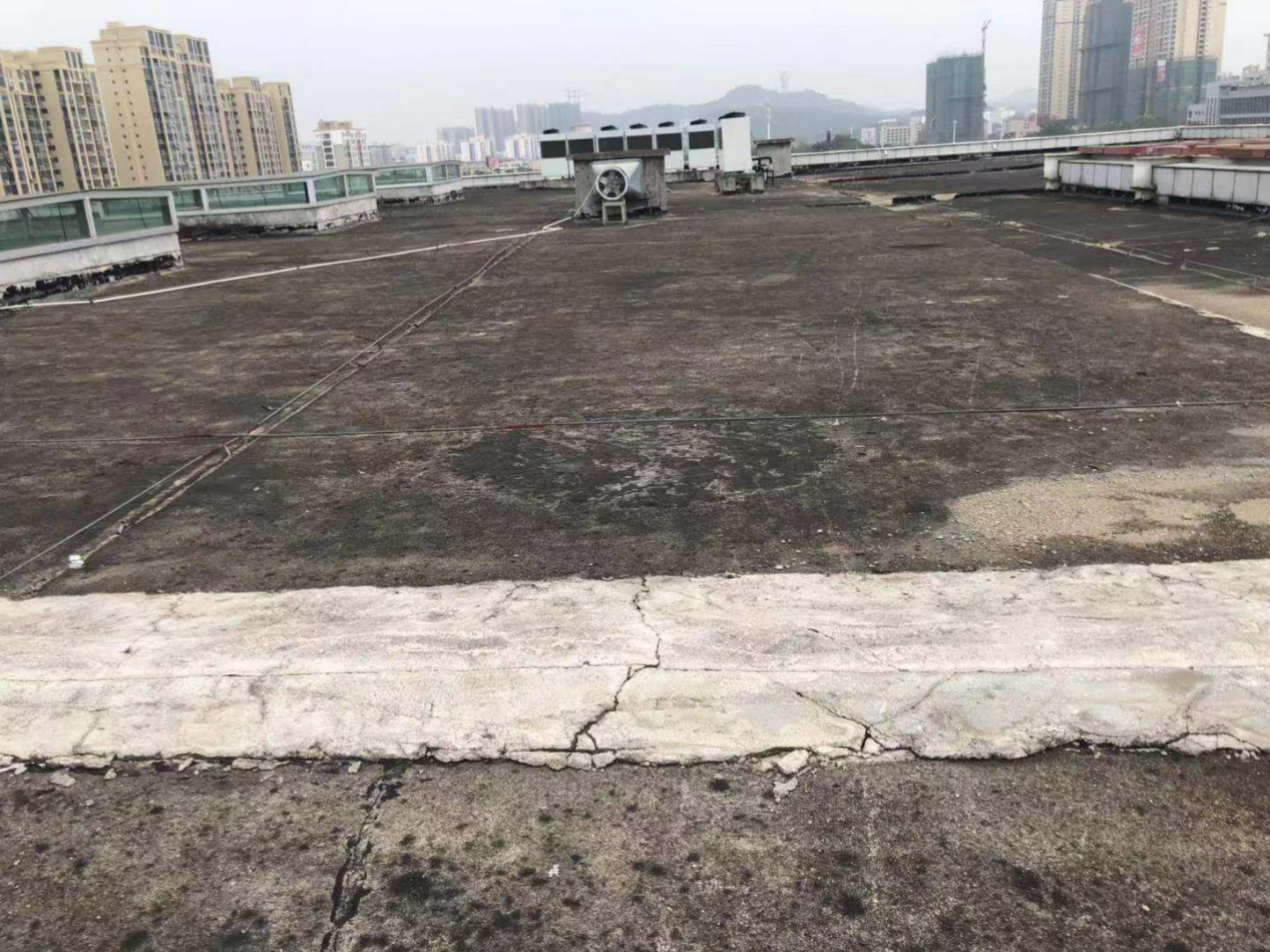 寰俊鍥剧墖_2025-10-09_180437_772.png