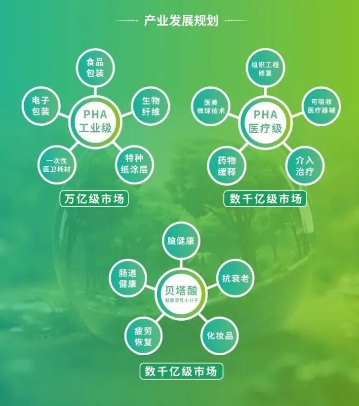 1 - 鍓⬜湰 (4).png