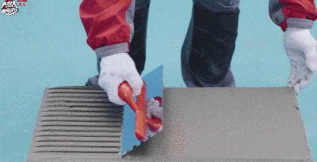 鍥剧墖5.png