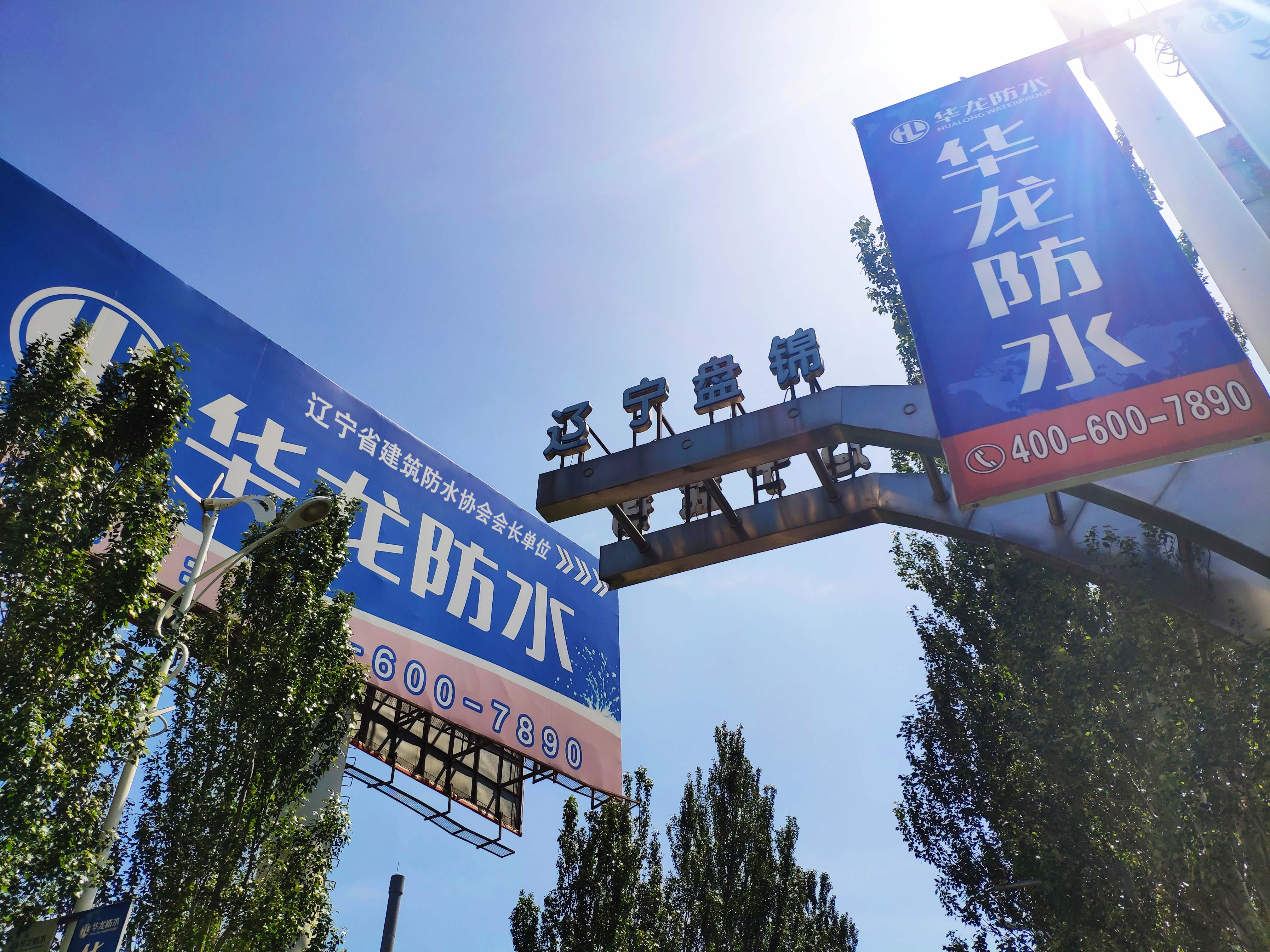 鏂扮増.jpg